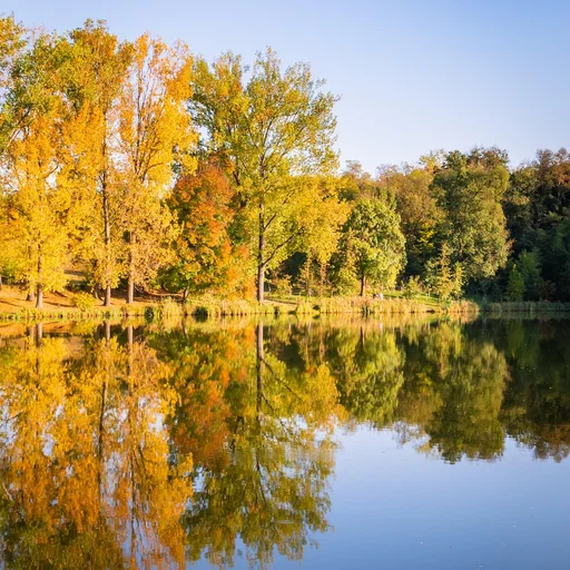 c7娱乐博彩牌照