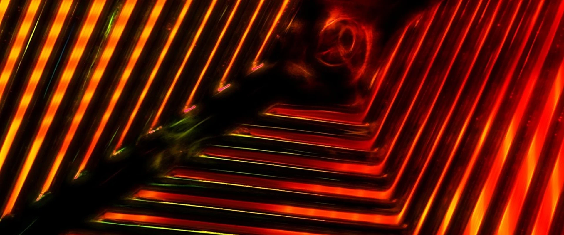 c7娱乐娱乐平台